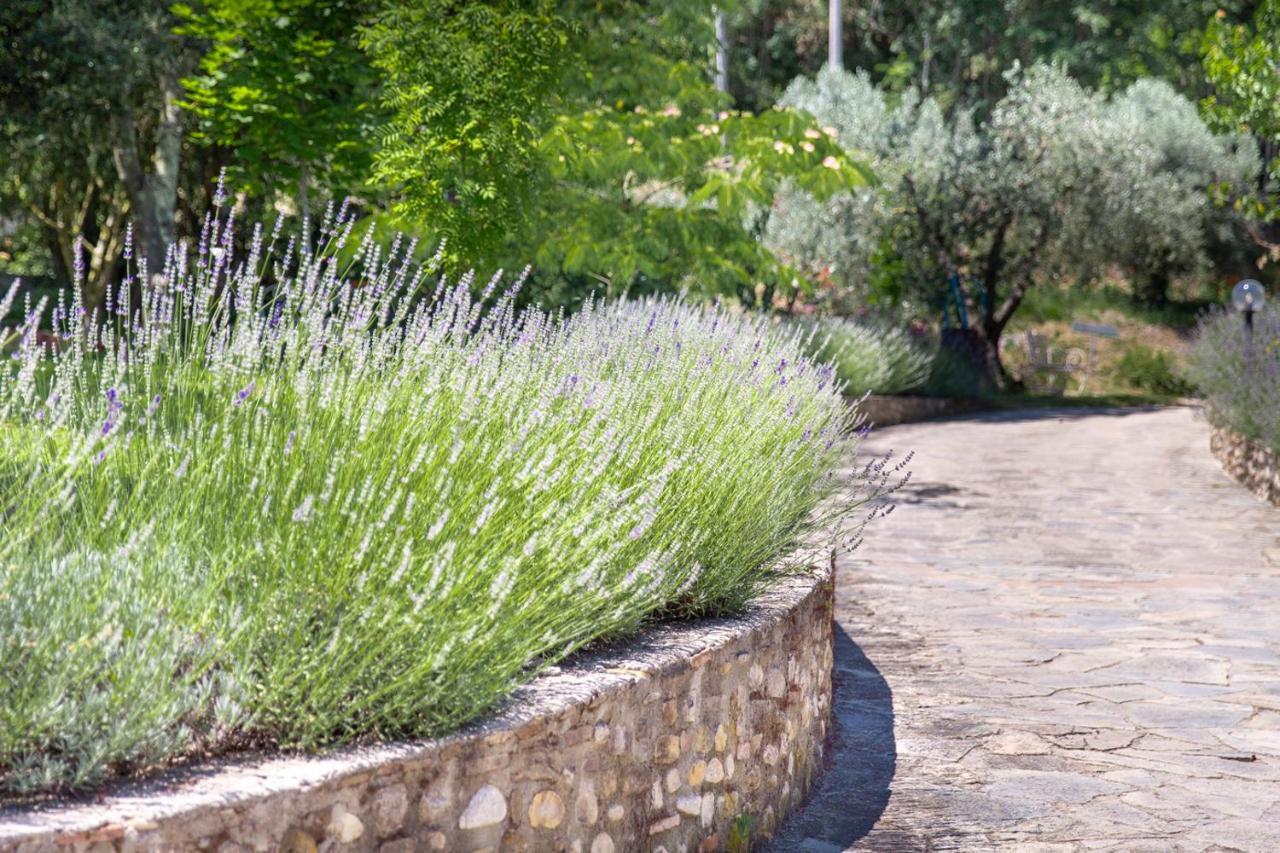 Agriturismo La Valle A Polvereto Tavarnelle Val di Pesa Eksteriør billede