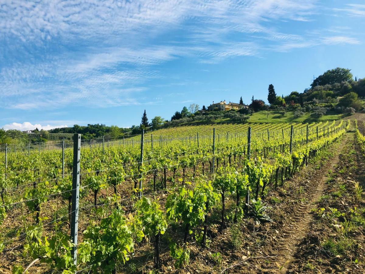 Agriturismo La Valle A Polvereto Tavarnelle Val di Pesa Eksteriør billede