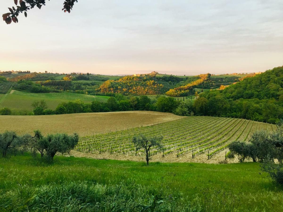 Agriturismo La Valle A Polvereto Tavarnelle Val di Pesa Eksteriør billede